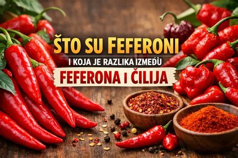 infografika: Primerjava paprike, feferona in čilija (oblike, barve, pekočnost)