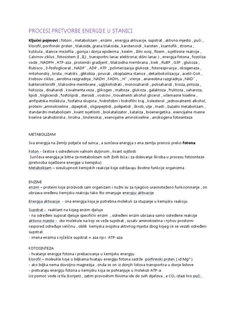 Ilustracija: Proces pretvorbe beta-karotena v vitamin A v telesu
