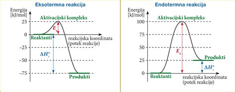 Slikovni prikaz agregatnih stanj kokosove maščobe pri različnih temperaturah