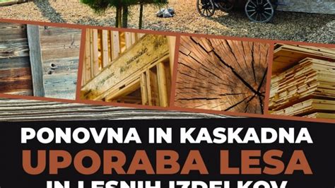 Infografika: Klasifikacija lesnih izdelkov