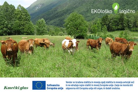 Idilična podoba slovenske ekološke kmetije