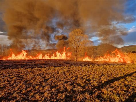 Prikaz litoželeznega kotlička nad odprtim ognjem v naravnem okolju