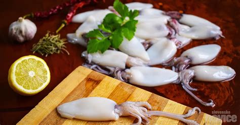 Ilustracija svežih morskih sadežev (lignji, škampi, školjke, rakci)