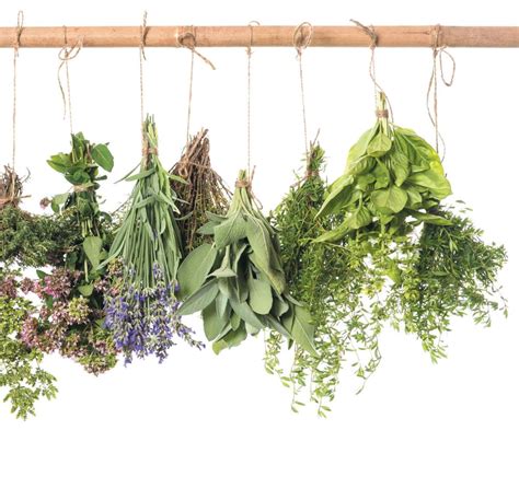 različna posušena zelišča in cvetovi v posodi