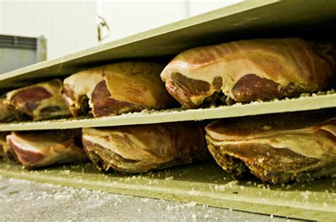 Infografika, ki prikazuje ključne faze proizvodnje kraškega pršuta od soljenja do zorenja.