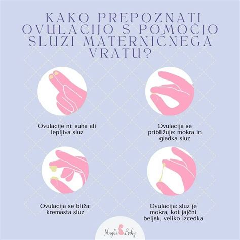 diagram vstavitve materničnega vložka