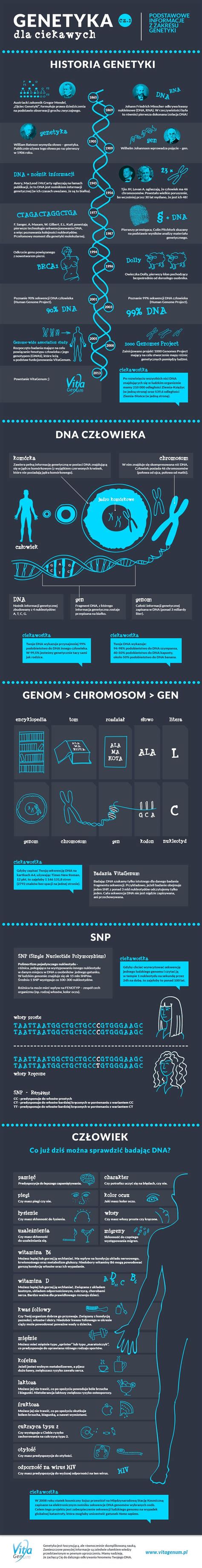 infografika: primerjava debeline dna domače in profesionalne posode s prikazom enakomerne porazdelitve toplote