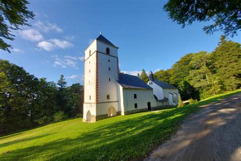 slika pohorskega piskra