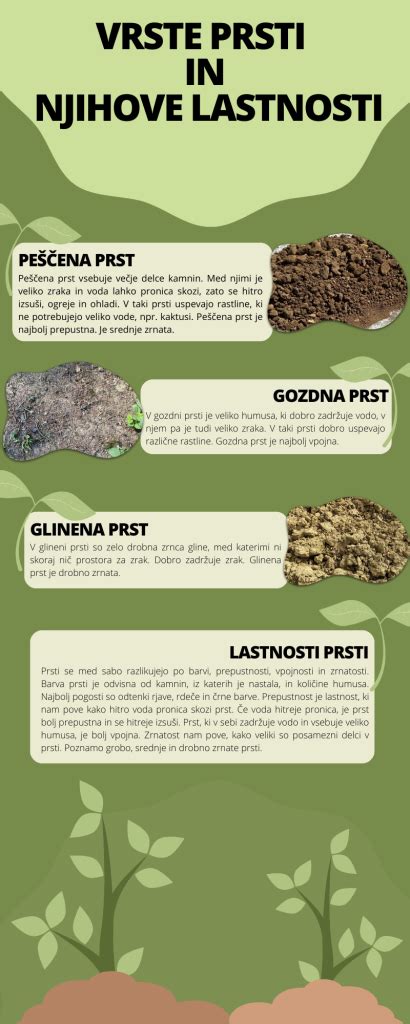 Infografika: Različne vrste leče (zelena, rjava, rdeča, črna) in njihove glavne značilnosti.