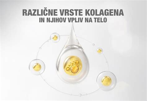 Infografika: Struktura kolagena in njegov pomen za telo
