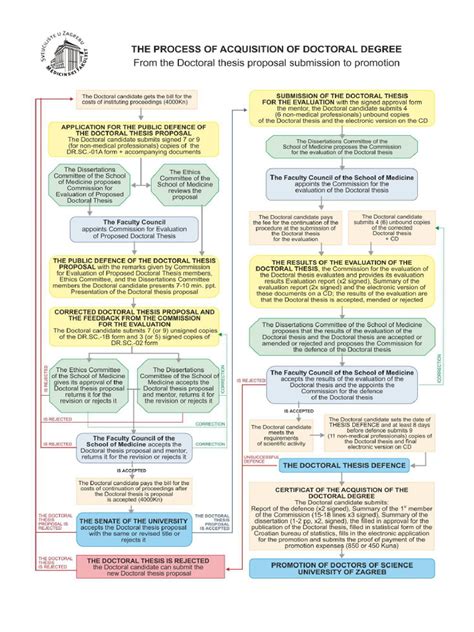Slikovni prikaz delovanja beta-glukanov v prebavnem traktu