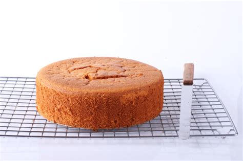 Thematic photo of a freshly baked sponge cake cooling on a wire rack