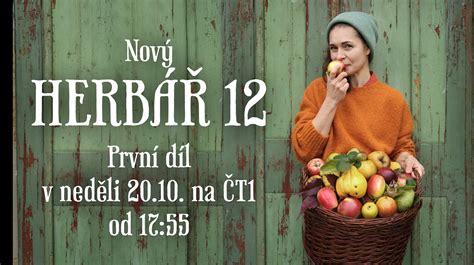 mag. Jana Kruh na predavanju o vzgoji