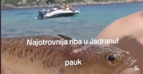 Shema odmrzovanja rib v hladni vodi