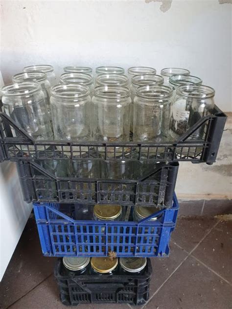 Fotografija steriliziranih kozarcev za vlaganje