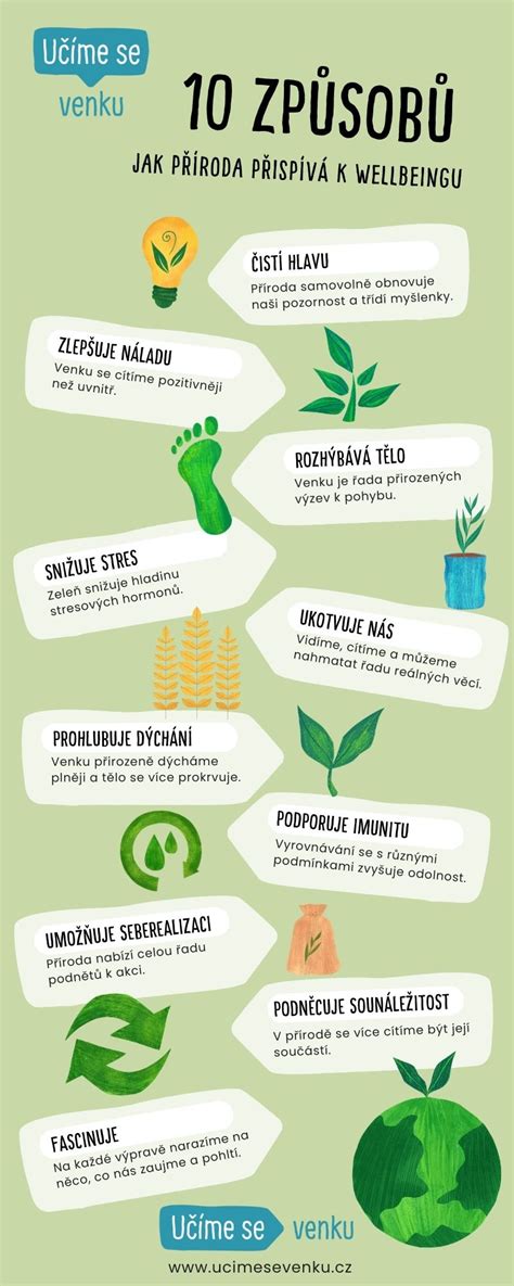 Infografika: Primerjava pečenja in cvrtja zrezkov