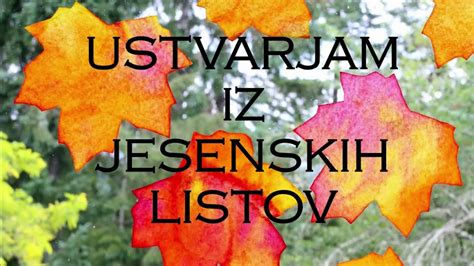 Ilustracija kostanjev in jesenskih listov, ki simbolizirajo sezono kostanja in njegovo naravno bogastvo.