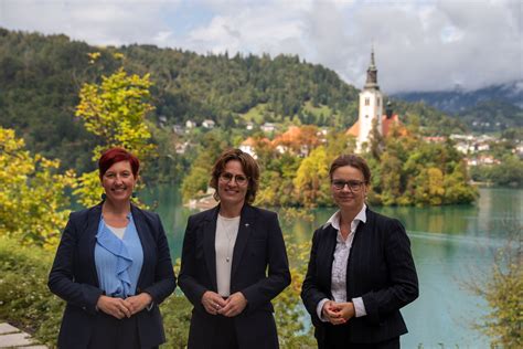 Pakiranje ekološke kostanjeve moke, prikazano v ospredju, z naravnimi elementi v ozadju.