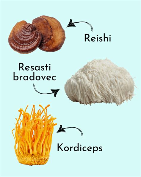 Različne vrste svežih gob za rižoto