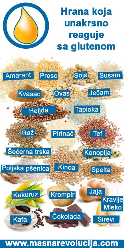 infografika: razlika med glutenom in brezglutensko moko v teksturi testa