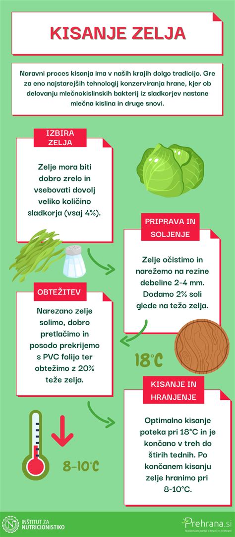 Infografika: dejavniki za uspešno kisanje zelja