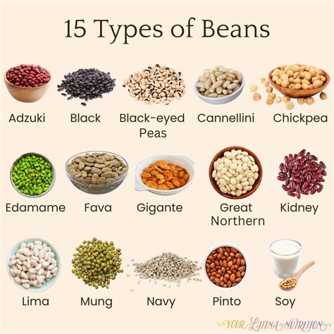 Thematic photo of various types of dry beans in bowls