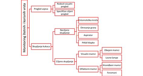 prikaz marmornih razpokančkov