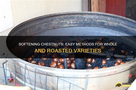 Infographics on different ways of preparing chestnuts