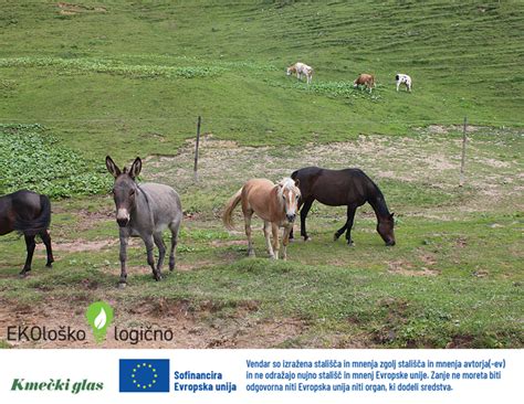 Zemljevid regij s poudarkom na ekoloških kmetijah v okolici Krškega in Posavja
