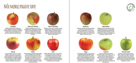 Infografika: različne sorte jabolk in njihova primernost za peko jabolčne pite