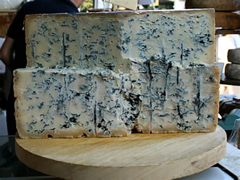 Tematska fotografija sira gorgonzola