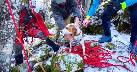 Reševalci, ki se spuščajo po vrvi v temno jamo