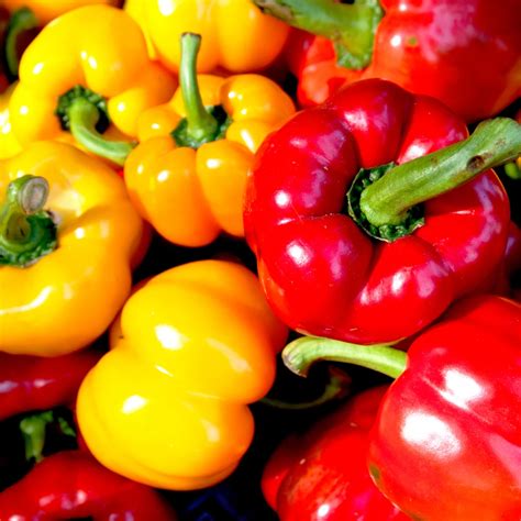 Ilustracija različnih vrst zelenjave, ki se uporablja za džuveč (paradižnik, paprika, bučke, jajčevci, korenje)