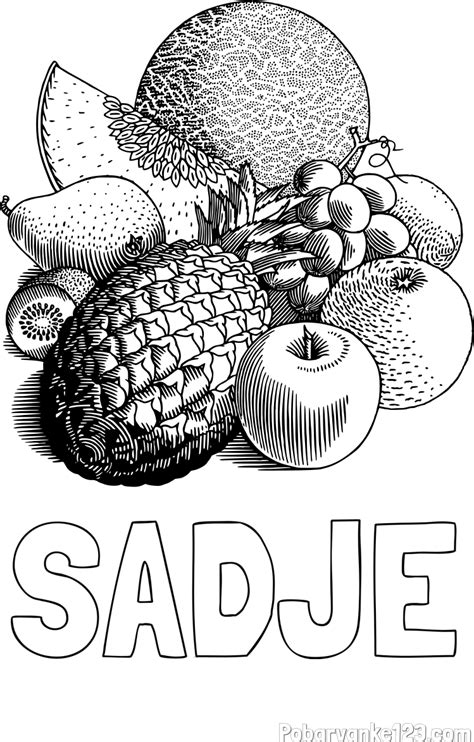 Tematska ilustracija: nasmejano sadje in zelenjava za pobarvanke