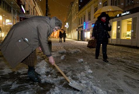 Tematska fotografija paprike različnih barv