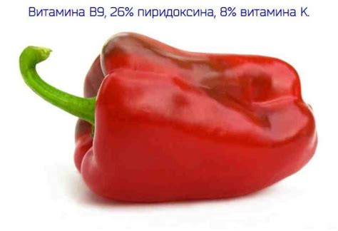 Tematska fotografija različnih vrst paprike