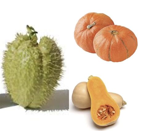 različne vrste buč in mladega krompirja, pripravljeni za peko