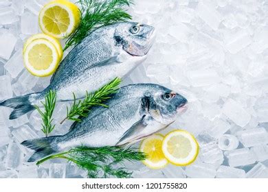 Thematic photo of fresh sea bream (orada) and sea bass (brancin) on ice in a market