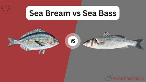 Infographic comparing nutritional values of sea bream and sea bass