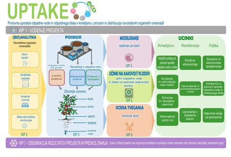 Infografika: možnosti uporabe rožičeve moke v kuhinji