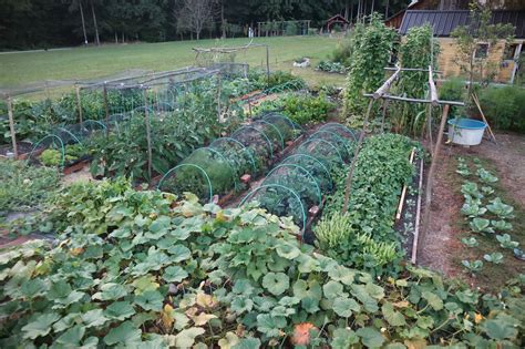 Fotografija jajčevca