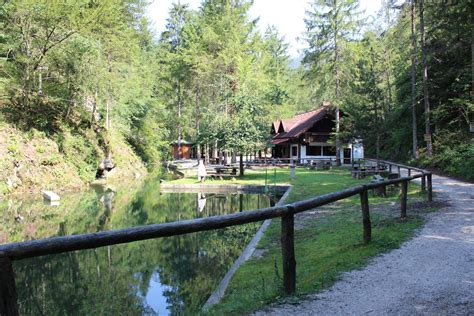 Slovenija kot zelena destinacija: panoramski posnetek neokrnjene narave s simboli trajnostnega turizma.