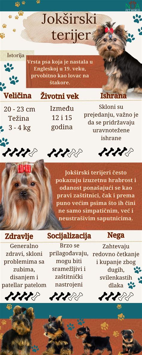 Infografika: Strupene snovi za pse