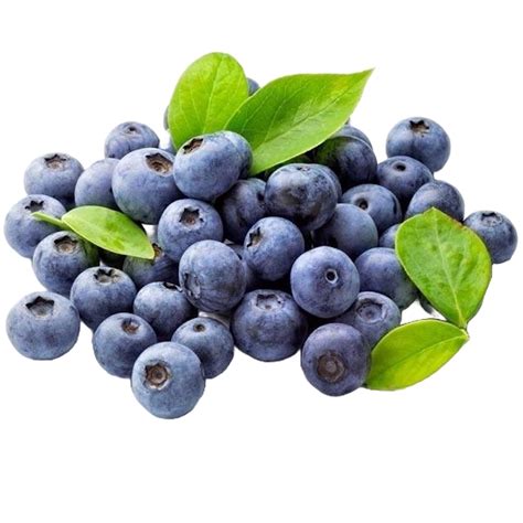 Raznoliko sadje, kot so jagode, borovnice in limone, ki se pogosto uporabljajo v LCHF sladicah.
