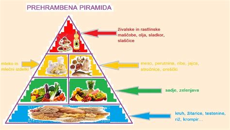 Infografika o sestavi mesa (beljakovine, maščobe, voda, minerali)