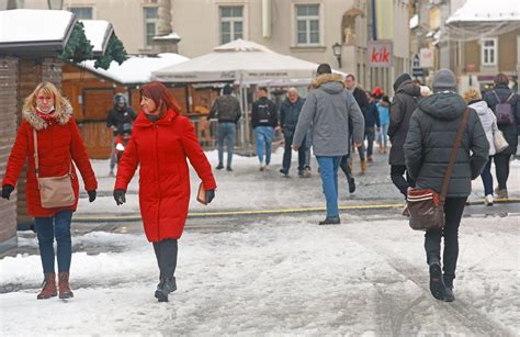 fotografija popolno stepenega beljakovega snega