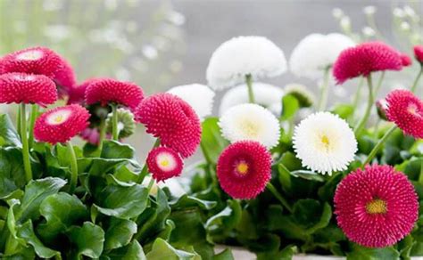 fotografija sodnice Marjetice Škerget Logar