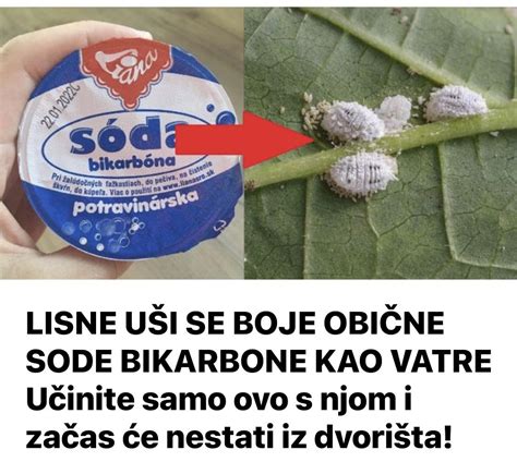 fotografija sode bikarbone v stiku s kislimi sestavinami in nastajanjem mehurčkov