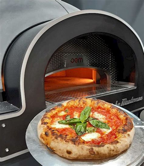Ilustracija različnih vrst pizza peči z dodatki