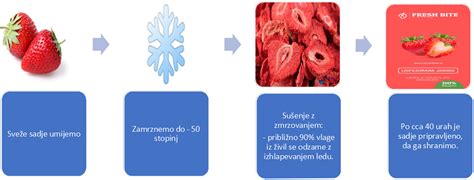 shema procesa liofilizacije (sušenja z zamrzovanjem)